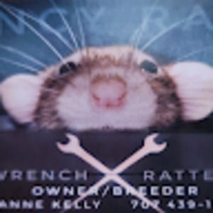 Meet your Posher, Anne